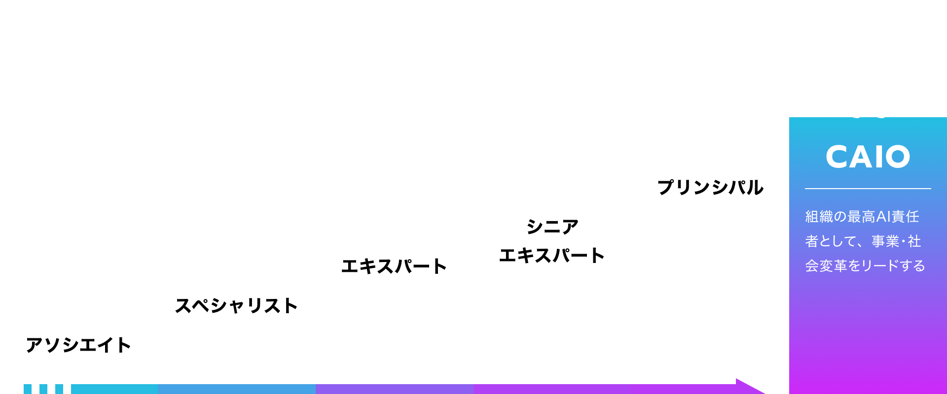 CAIOの必要なスキルと知識