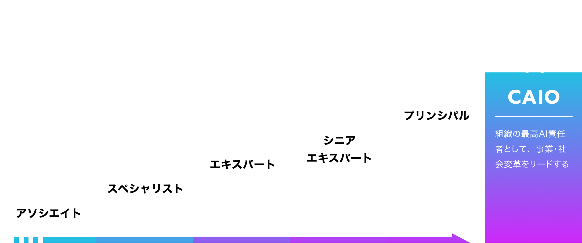 career_path